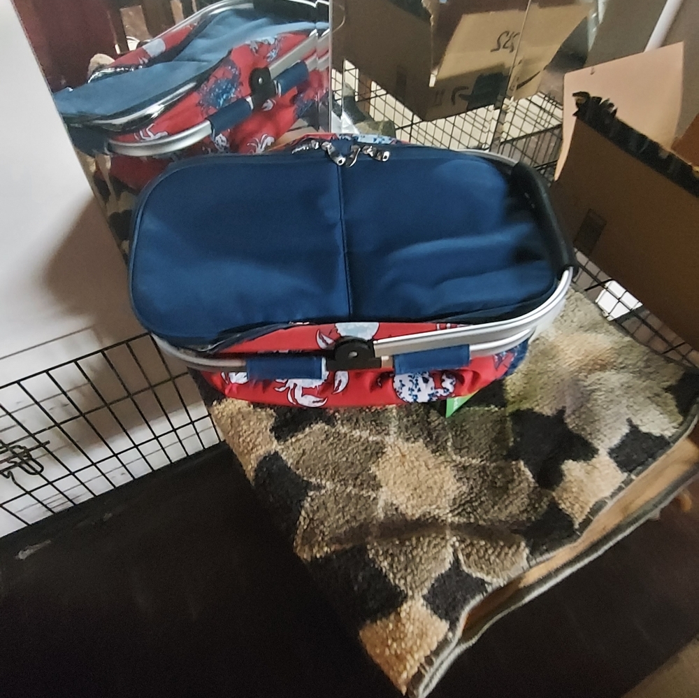 END OF SUMMER SALE! Large Crab Cooler
